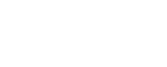 Arrays S.R.L.